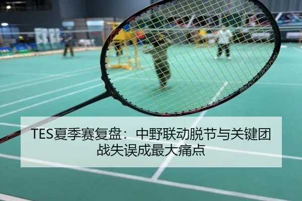 TES夏季赛复盘：中野联动脱节与关键团战失误成最大痛点