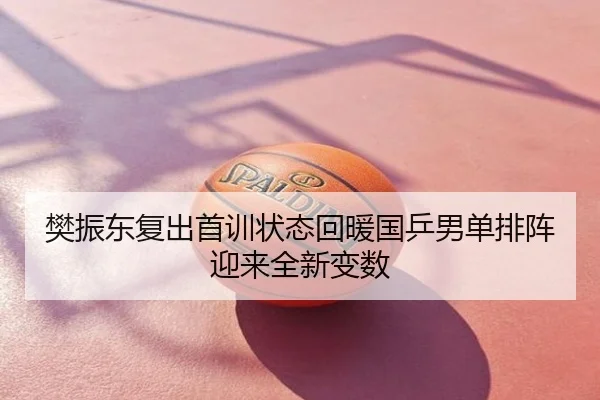 樊振东复出首训状态回暖国乒男单排阵迎来全新变数
